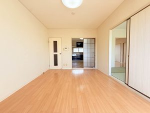 ディアスイイジマⅡ 0202号-3