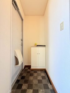 ディアスイイジマⅡ 0202号-8