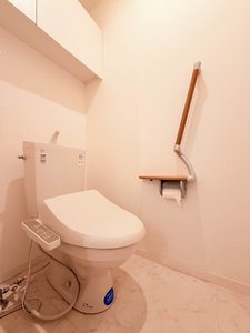 グリーン　ソメヤ 0102号-11
