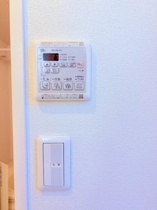 グリーン　ソメヤ 0102号-12