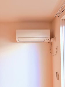 グリーン　ソメヤ 0102号-15