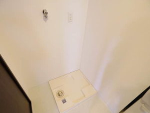 クレセントヒラ 003N号-10