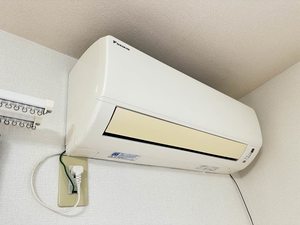 シャルマンさつきA 0102号-9