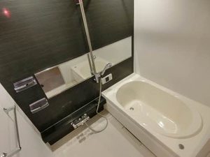 アリスティオ大岩 0102号-9