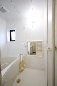秋桜Ｍｉａｉ 0101号-11