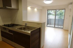 Ｓａｉｓｏｎ　Ｓｏｌｅａｄｏ 0102号-2