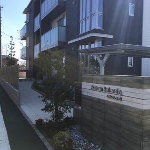 Ｓａｉｓｏｎ　Ｓｏｌｅａｄｏ 0102号-14