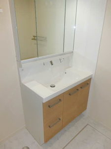 ＣＡＲＰＡ 0102号-6