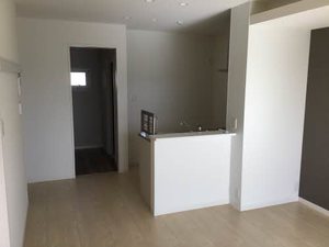 イチセイ・ハナ 0203号-2