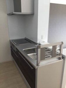 イチセイ・ハナ 0203号-9