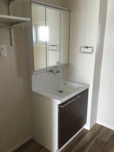 イチセイ・ハナ 0203号-11