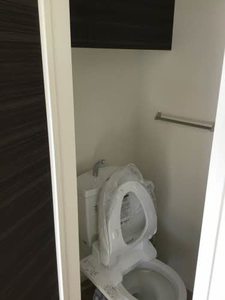 イチセイ・ハナ 0203号-13