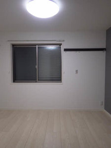 アイレックス 0105号-13