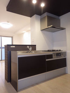 アイレックス 0305号-4