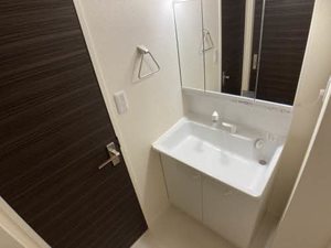 シャーメゾン新高岡 0203号-9