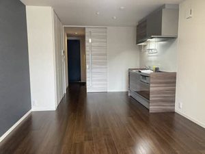 コンフォルト安田町 0301号-3