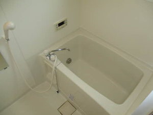 ＡⅡＰＡＬＡＣＥⅢ 0201号-11