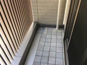 グリーンテラス春岡 0203号-9