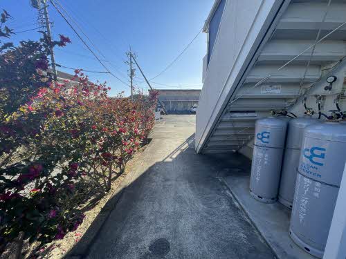 フォーブルミノワ 0212号-11