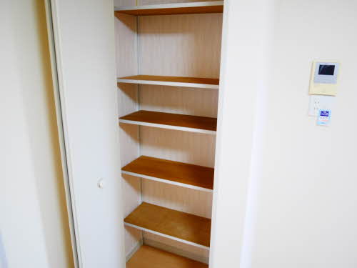 フィールドパレス A105号-5