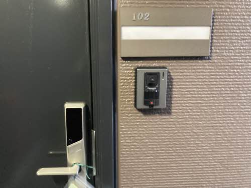 プリムローズ 0102号-11