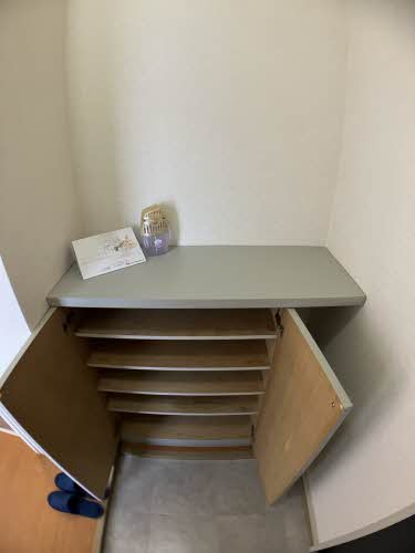 サンフルール岸岡 C201号-5