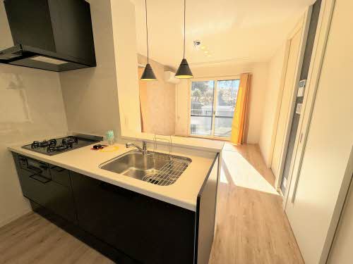 タウン　プレミール D101号-1