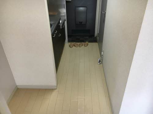 ディアス杏里 B205号-4