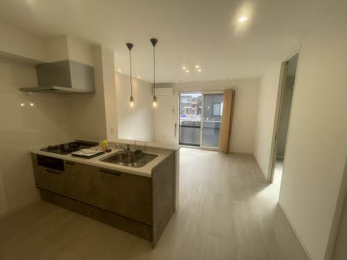 ディアスニューコスモス A102号-1