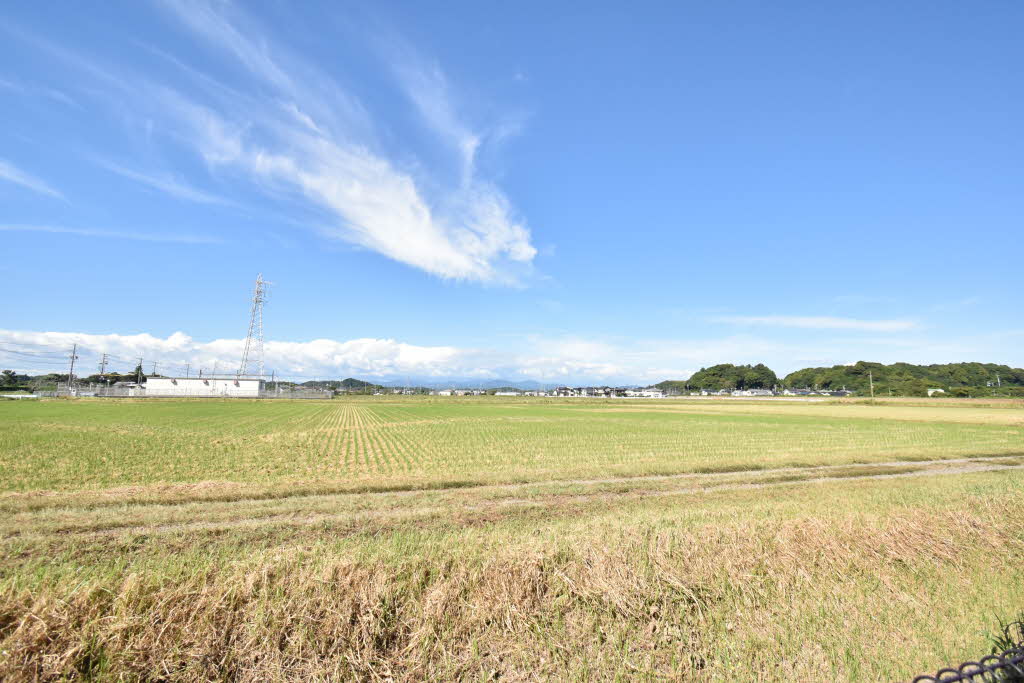 桜通り D102号-12