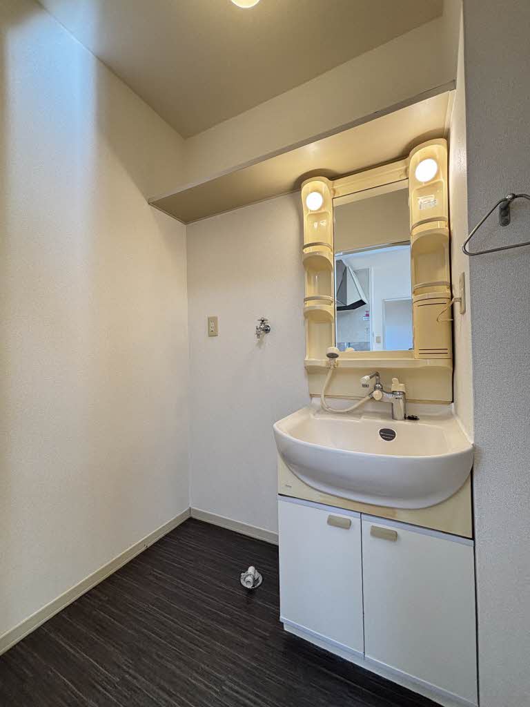 ひまわり C102号-4