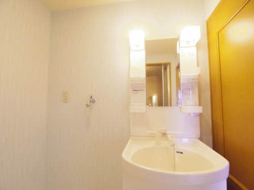 ベルドミール吉根 B302号-11