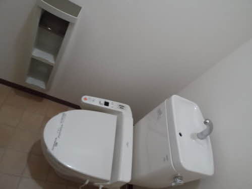 ルピナス A103号-15