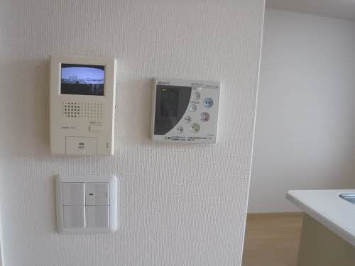 ルピナス B205号-5