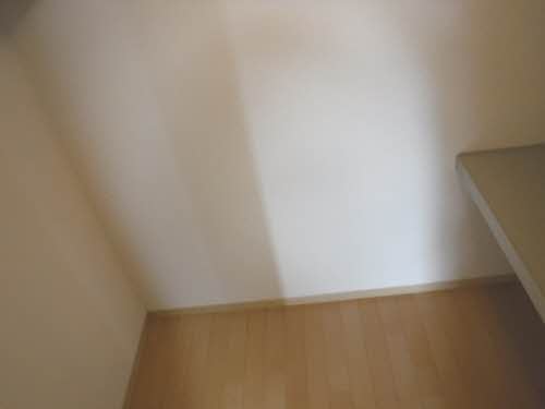 ルピナス B205号-8