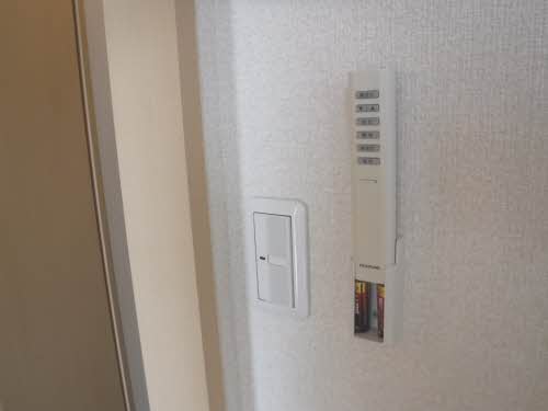 ルピナス B205号-9