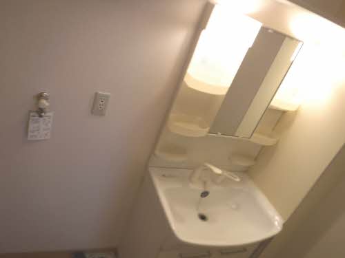 ルピナス B205号-10