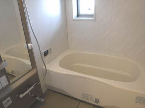 ルピナス B205号-11