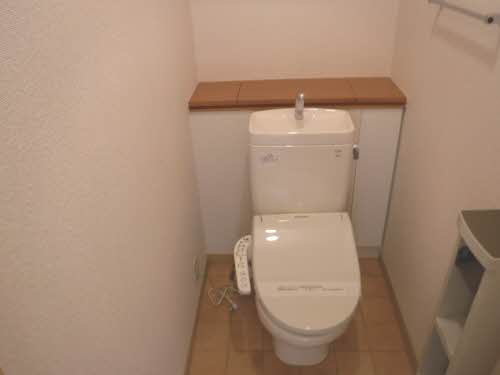 ルピナス B205号-13