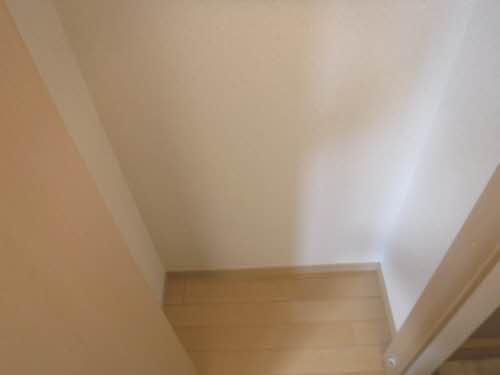 ルピナス B205号-14