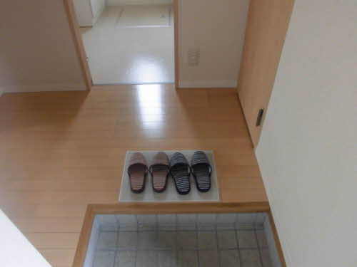 ラヴィオラ 0103号-3