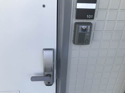 グラシューアイ 0101号-3