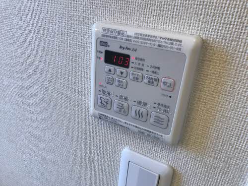 グラシューアイ 0101号-11