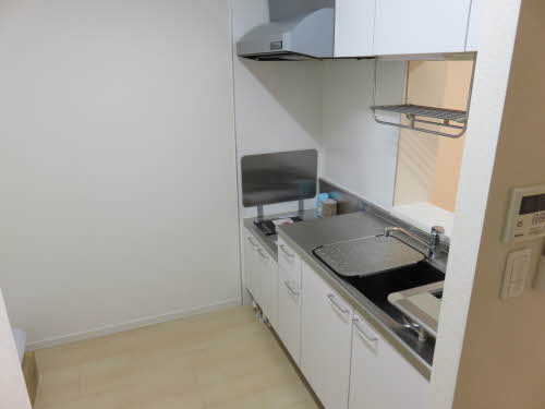 グラシューアイ 0102号-4