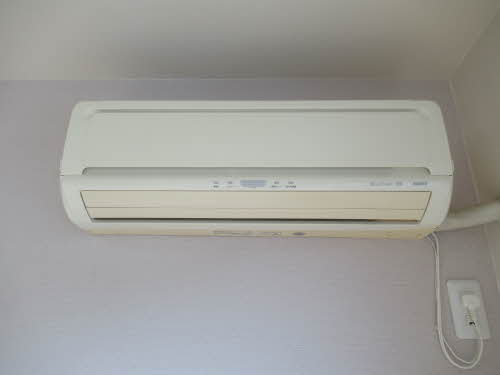 ダニエル 0202号-9