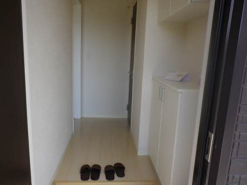 Ｓｔｅｌｌａ　Ⅵ 6101号-3