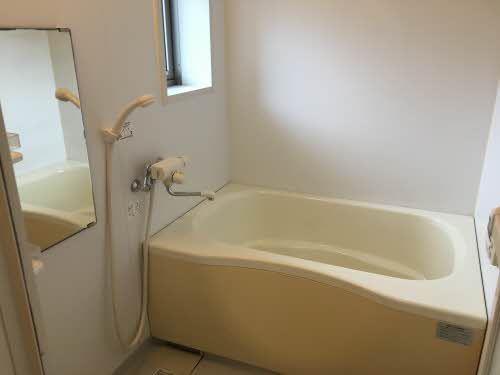 Ｓｔｅｌｌａ　Ⅵ 6203号-8