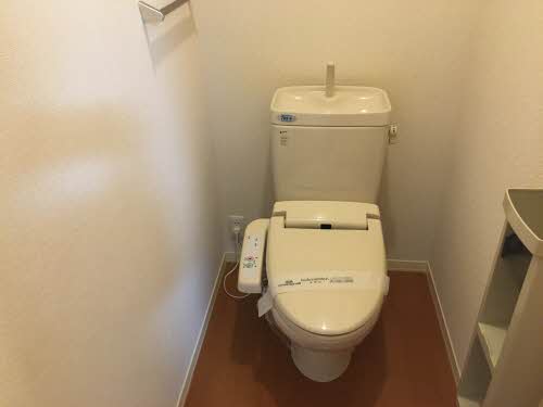 Ｓｔｅｌｌａ　Ⅵ 6203号-15