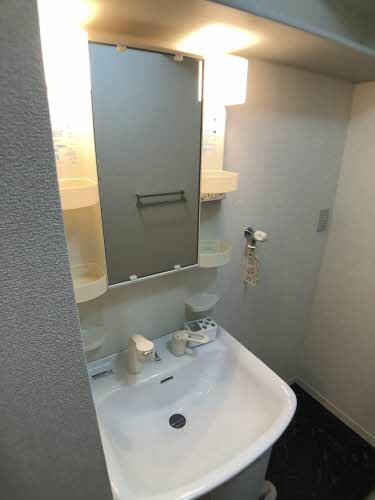 タウンコート上町東Ａ＆Ｆ 0101号-11