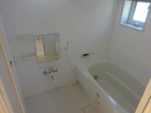 Ｃｈｅｌｓｅａ 0101号-8